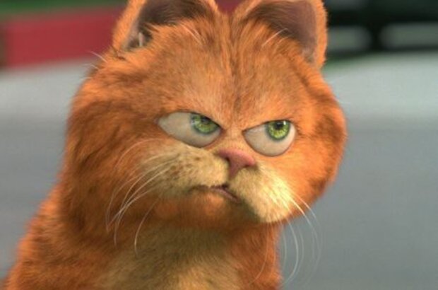 Garfield (2004) - photo 1
