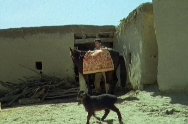 The Rider (2007) - photo 13