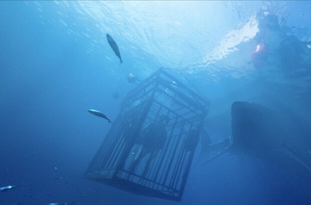 47 Meters Down (2016) - photo 2