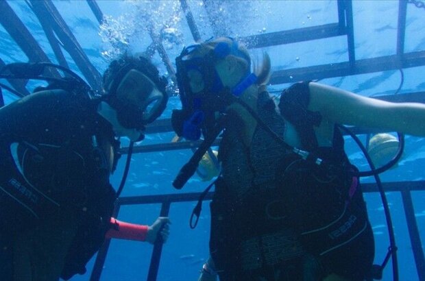 47 Meters Down (2016) - photo 1