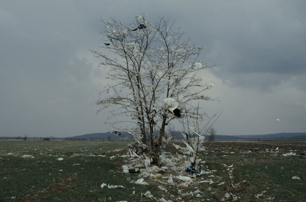 Dubina dva (2016) - photo 1