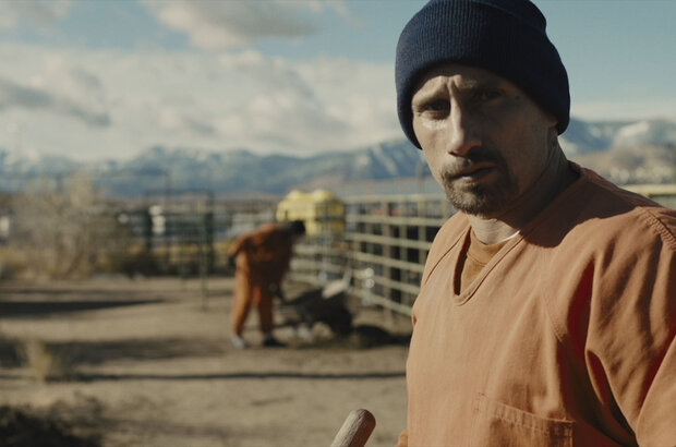 The Mustang (2019) - photo 5