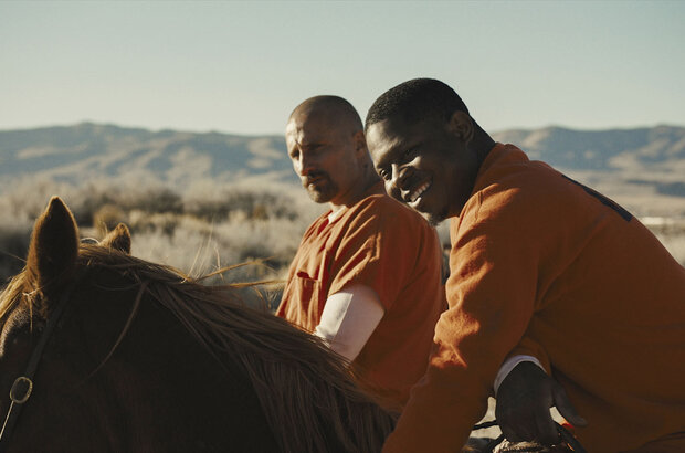 The Mustang (2019) - photo 6