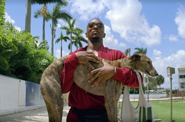 Pain & Gain (2013) - photo 17