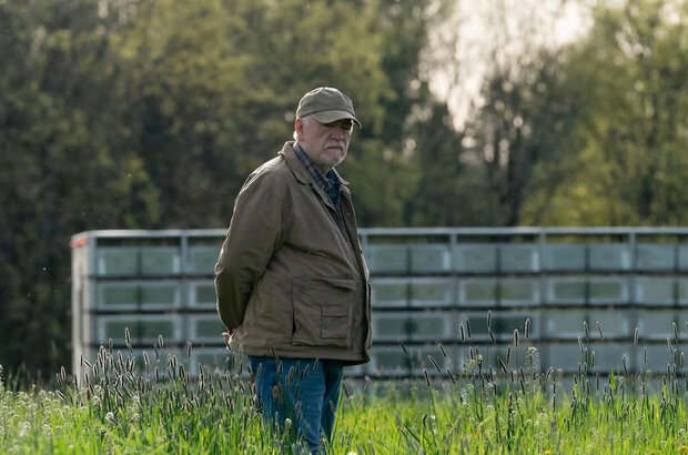 Little Wing (2024) - photo 3