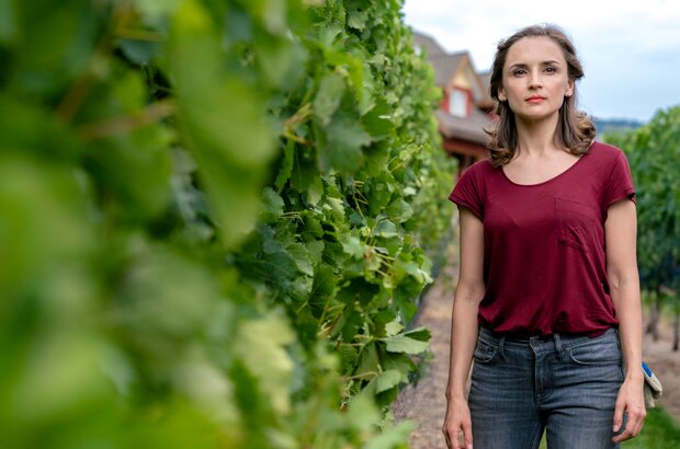 Autumn in the Vineyard (2016) - photo 5