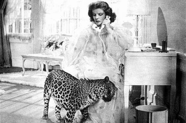 Bringing Up Baby (1938) - photo 2