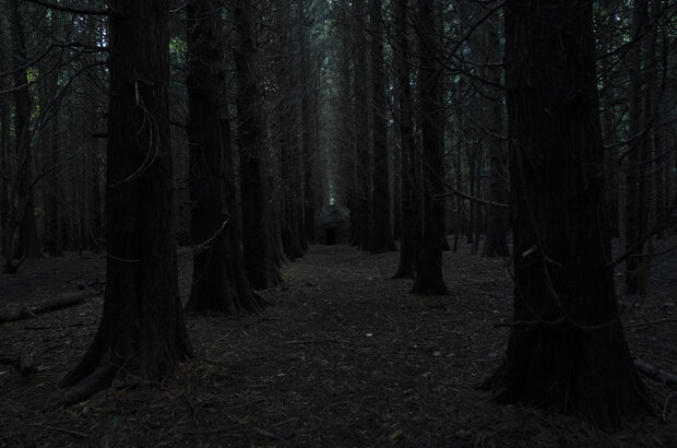 The Little People (2023) - photo 6