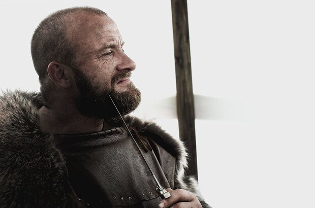 The Lost Viking (2018) - photo 2