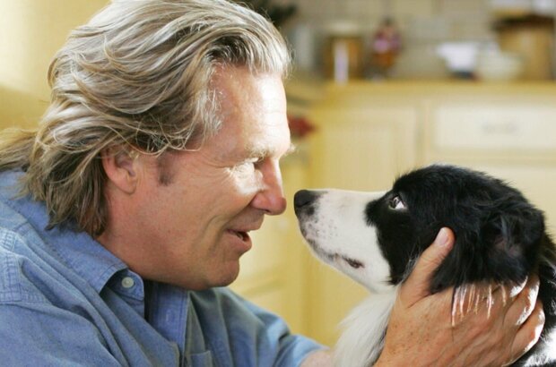 A Dog Year (2009) - photo 2
