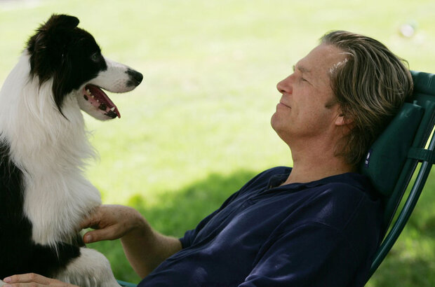 A Dog Year (2009) - photo 1