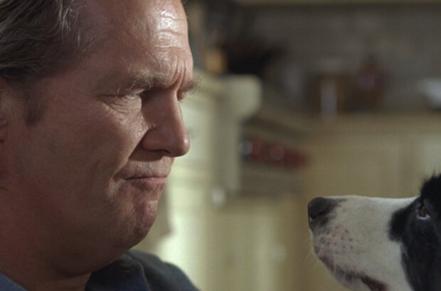 A Dog Year (2009) - photo 8