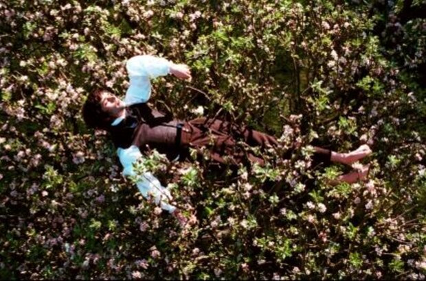 Bright Star (2009) - photo 3