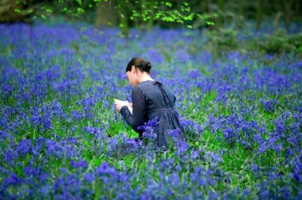 Bright Star (2009) - photo 1
