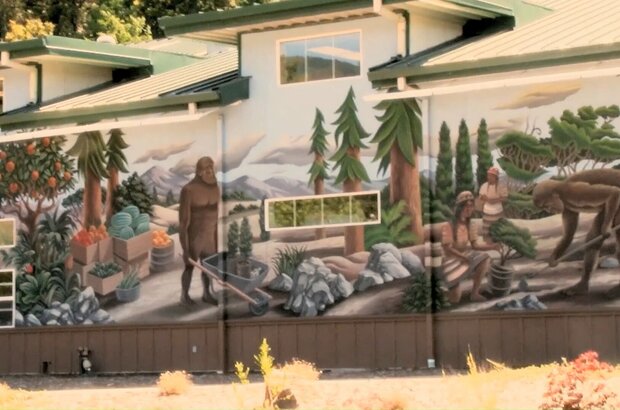Willow Creek (2013) - photo 5
