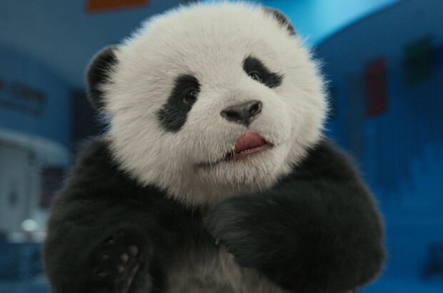 Panda Plan (2024) - photo 3
