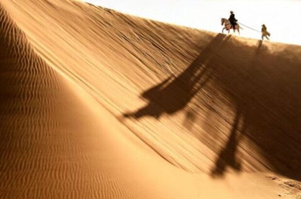 The Lone Ranger (2013) - photo 14