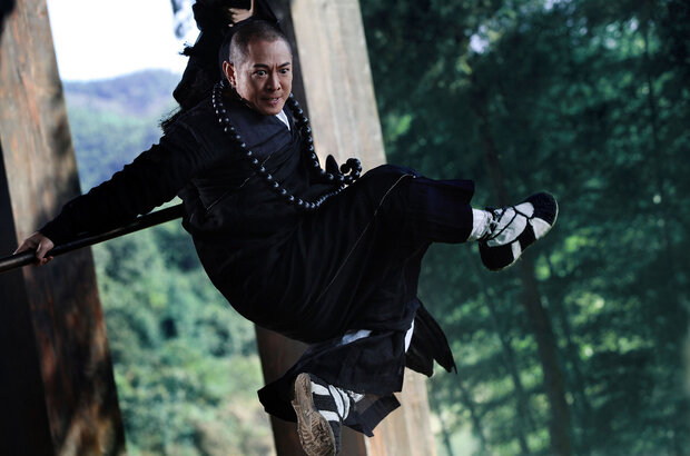 The Sorcerer and the White Snake (2011) - photo 6