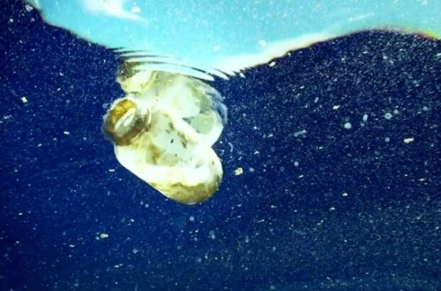 Trashed (2012) - photo 3