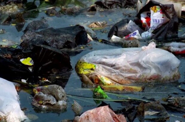 Trashed (2012) - photo 11