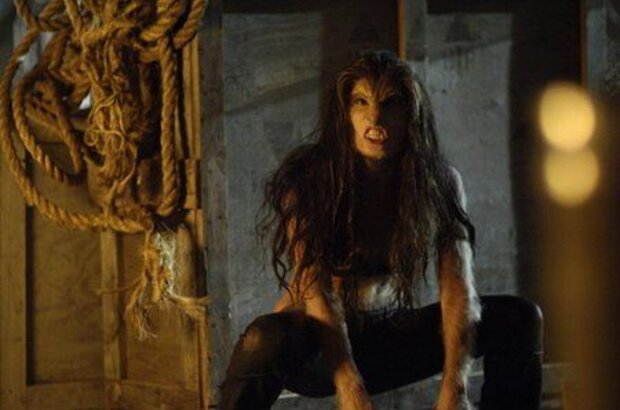 Skinwalkers (2006) - photo 3