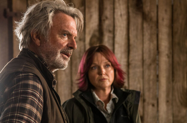 Rams (2020) - photo 6
