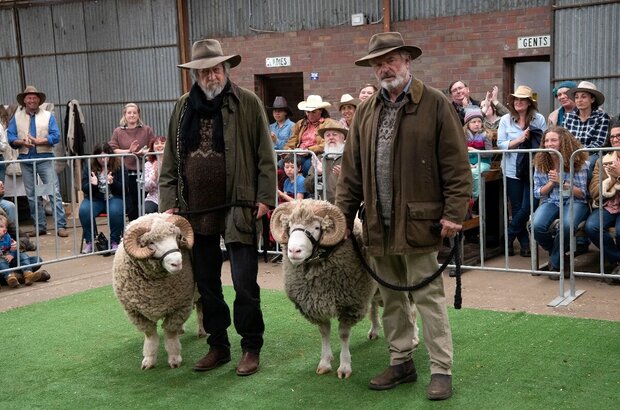 Rams (2020) - photo 3