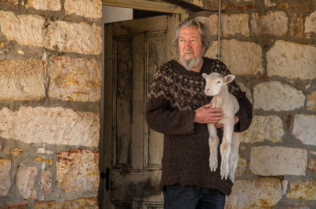 Rams (2020) - photo 9