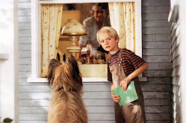 Dennis the Menace (1993) - photo 1