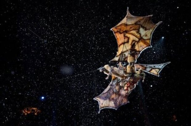 Cirque du Soleil: Сказочный мир (2012) - фото 4