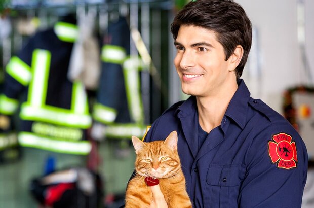 The Nine Lives of Christmas (2014) - photo 1