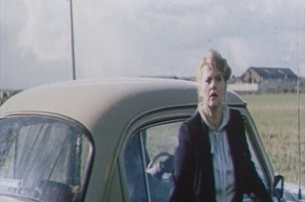 The year of the calf (1986) - photo 1