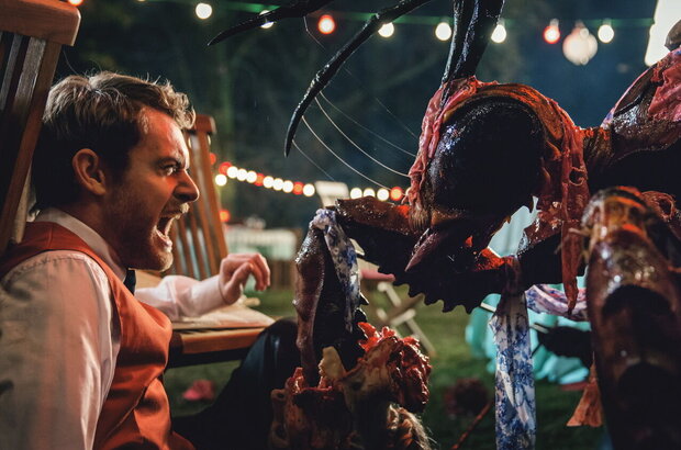 Stung (2015) - photo 1