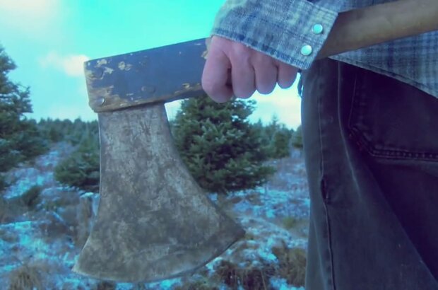 Treevenge (2008) - photo 1