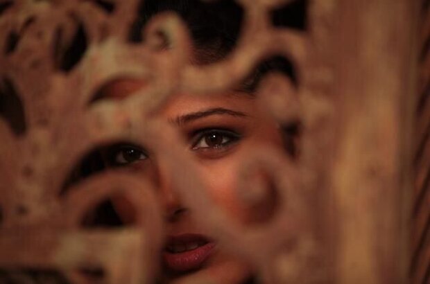 Day of the Falcon (2011) - photo 16
