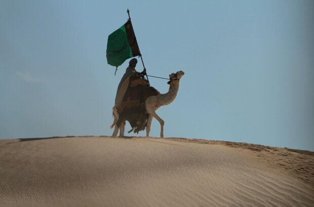 Day of the Falcon (2011) - photo 5