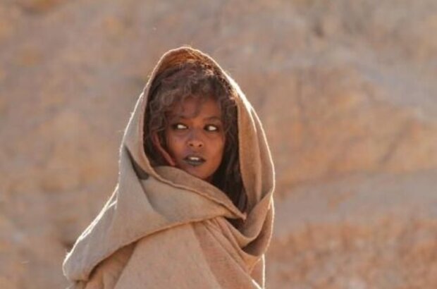 Day of the Falcon (2011) - photo 18