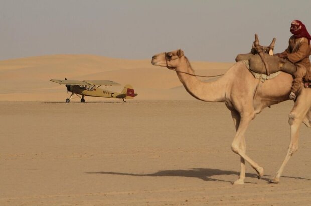 Day of the Falcon (2011) - photo 8