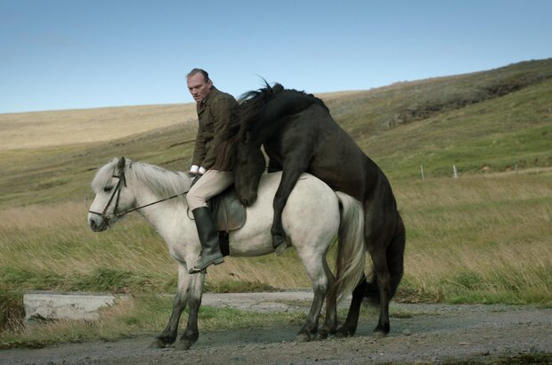 Of Horses and Men (2013) - photo 1