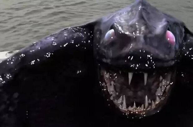 Bering Sea Beast (2013) - photo 4
