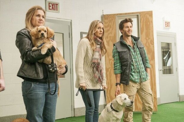 Who Gets the Dog? (2016) - photo 4