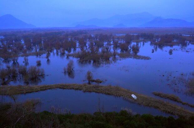 Lastochki Khristovy (2022) - photo 4