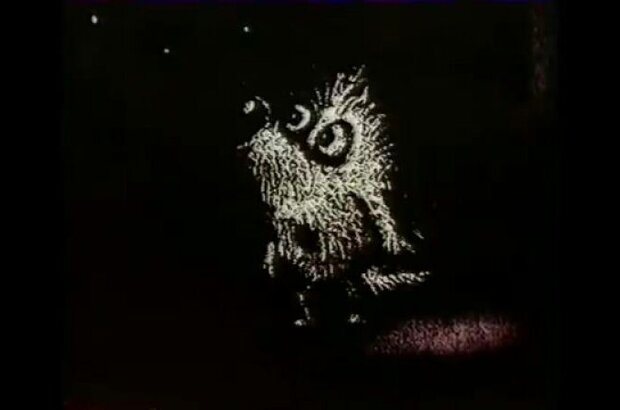 Volchok (1985) - photo 6