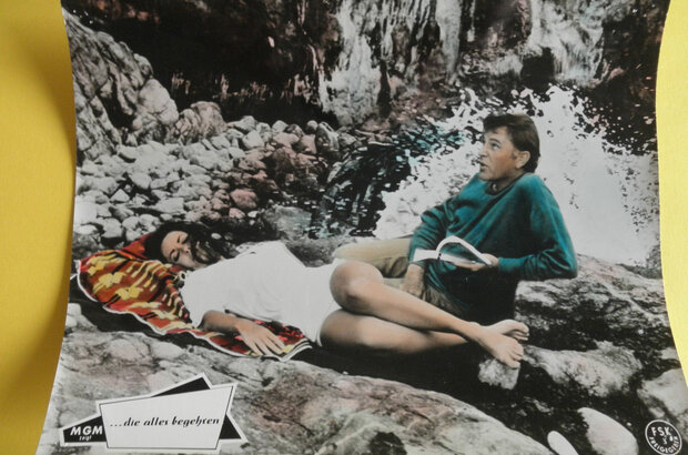 The Sandpiper (1965) - photo 2