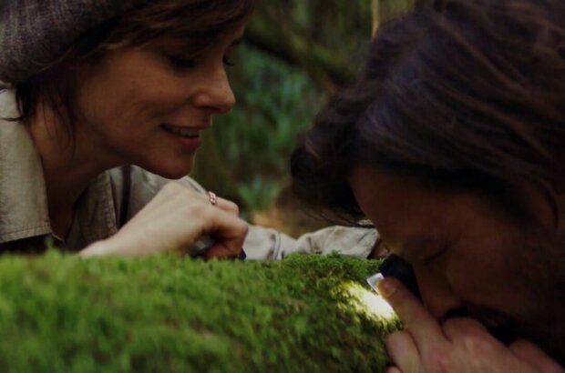 Elsewhere (2019) - photo 2