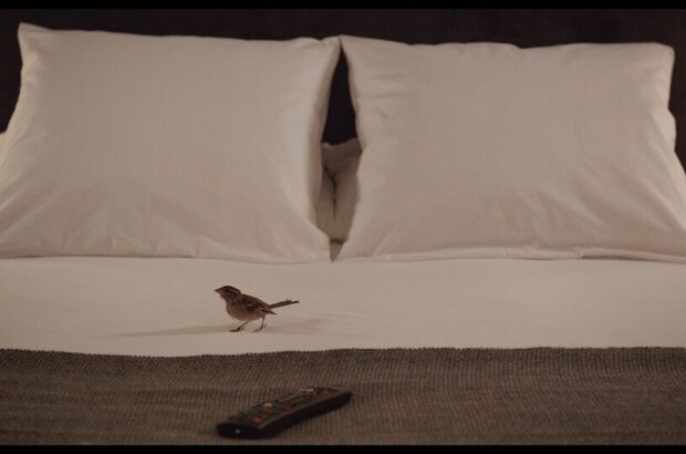 Bird People (2014) - photo 4