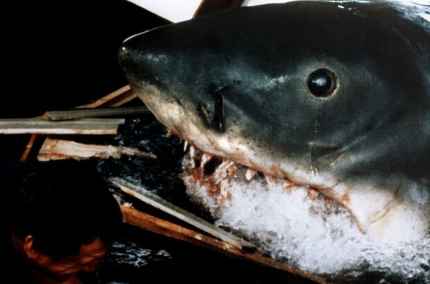 Jaws (1975) - photo 2