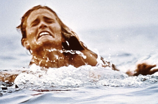 Jaws (1975) - photo 4