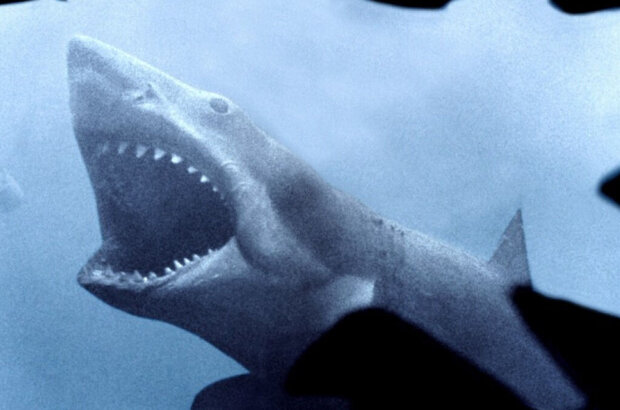 Jaws (1975) - photo 1