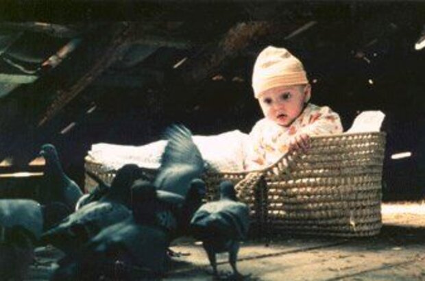 Little Tony (1998) - photo 1
